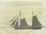 BROWN, BELLE (1873, Schooner)