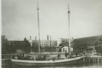 BERTIE (1896, Scow Schooner)