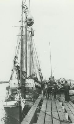 AUGUSTUS (1885, Scow Schooner)