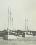 BUCKEYE STATE (1873, Schooner-barge)