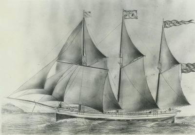 MCVEA, ELLIS J. (1873, Schooner)