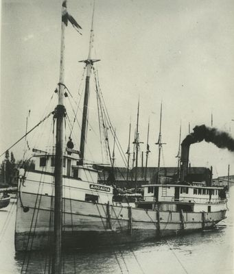 ARCADIA (1888, Steambarge)