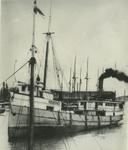 ARCADIA (1888, Steambarge)