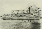 BROWN, W. L. (1880, Bulk Freighter)