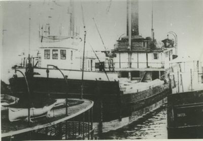 ALCONA (1878, Bulk Freighter)