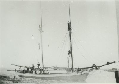 MORSE, ANNIE F. (1881, Schooner)