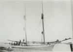 MORSE, ANNIE F. (1881, Schooner)