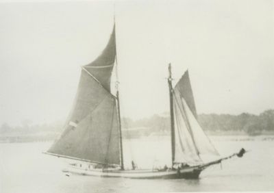 OAK LEAF (1869, Scow Schooner)