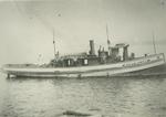 MCLANE, MARY (1868, Tug (Towboat))