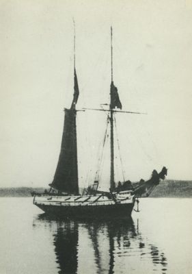 ANN MARIA (Schooner)