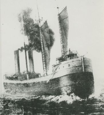 AUSTRALASIA (1884, Bulk Freighter)