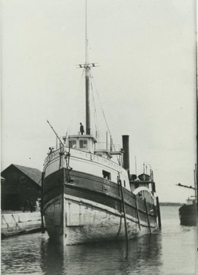 CITY OF OWEN SOUND (1875, Propeller)