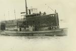 FERN (1883, Tug (Towboat))