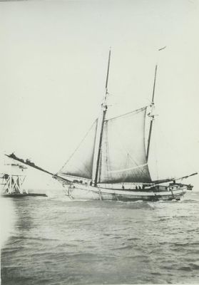 HELEN (1881, Scow Schooner)