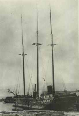 MORWOOD, RICHARD (1874, Schooner)