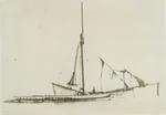 MINERAL STATE (1873, Schooner)