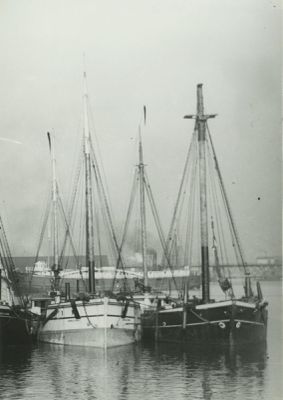 CONNELLY BROS. (1896, Schooner-barge)