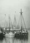 CONNELLY BROS. (1896, Schooner-barge)