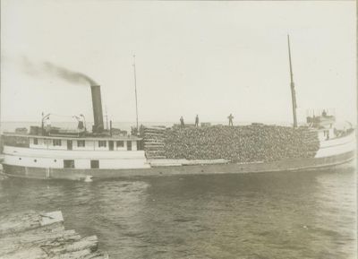 HINTON, FRANCIS (1889, Steambarge)