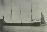 NEW ORLEANS (1885, Bulk Freighter)