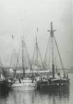 TROY (1872, Schooner-barge)