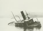 ARBUTUS (1887, Tug (Towboat))