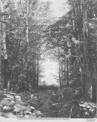 Four Mile Dam Cinder Path, Thunder Bay River