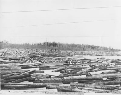 Thunder Bay River above Four Mile Dam