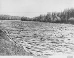 Log Jam, Thunder Bay River