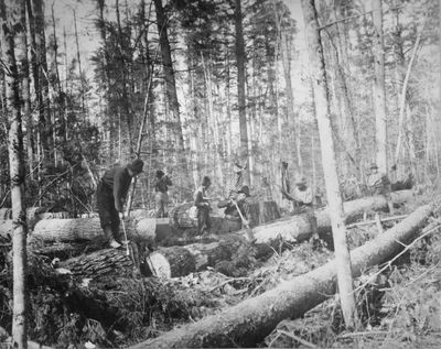 Logging in Alpena, Michigan