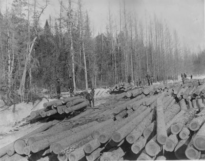 Log Piles in Alpena