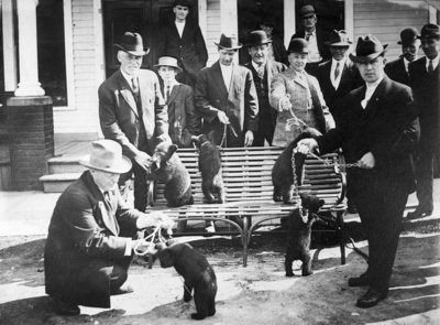 Men with Bear Cubs at Union House