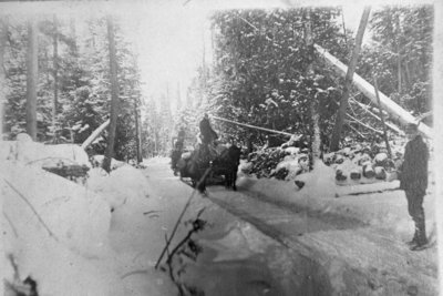 Fletcher Lumber Camp Ice Path