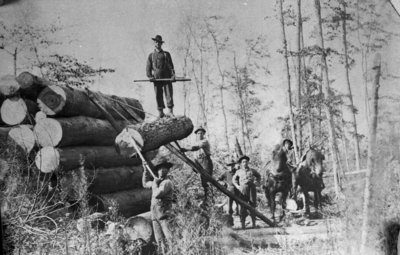 Fletcher Camp - Loading Logs On Pile