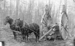 Log Towing Horse Team