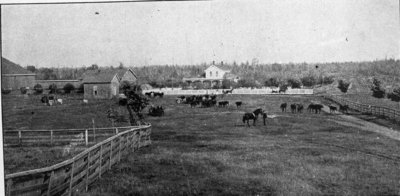 Potter Farm Alpena, MI