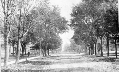 Residential Area of Second Avenue from 1890