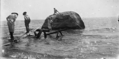 Middle Island: People at Big Rock