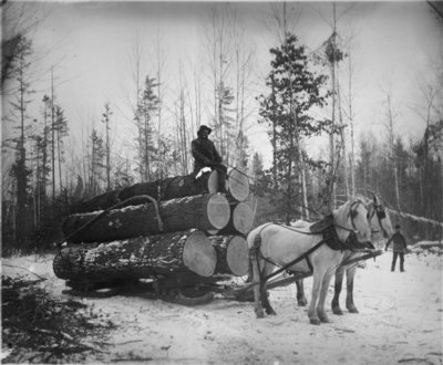 Sleigh of Logs