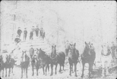 Loggers, Horses, and Log Pile