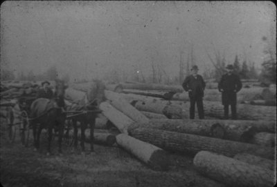 Men Amongst Log Piles