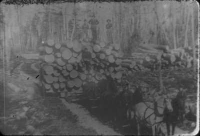 Horse Team Pulling Log Load