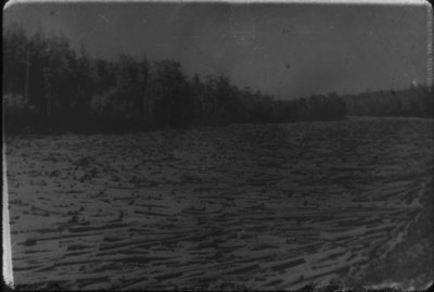 Log Jam on the Thunder Bay River