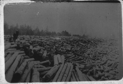 Log Jam on the Thunder Bay River