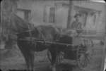 Man Driving Horse Cart