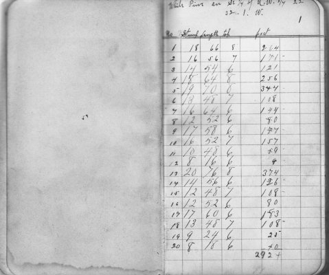 Henry K. Gustin's Lumber Cut Record