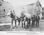 Richardson Lumber Co. Horse Team