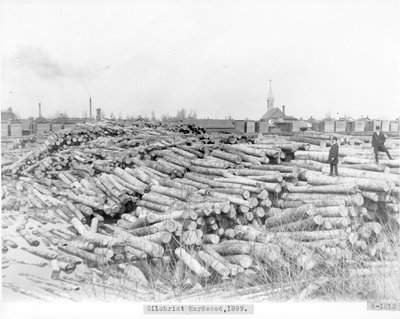 Hardwood for Gilchrist Lumber Company