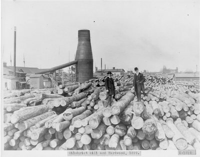 Hardwood for Gilchrist Lumber Mill