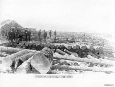 Comstock Lumber Mill Log Bank on Thunder Bay River